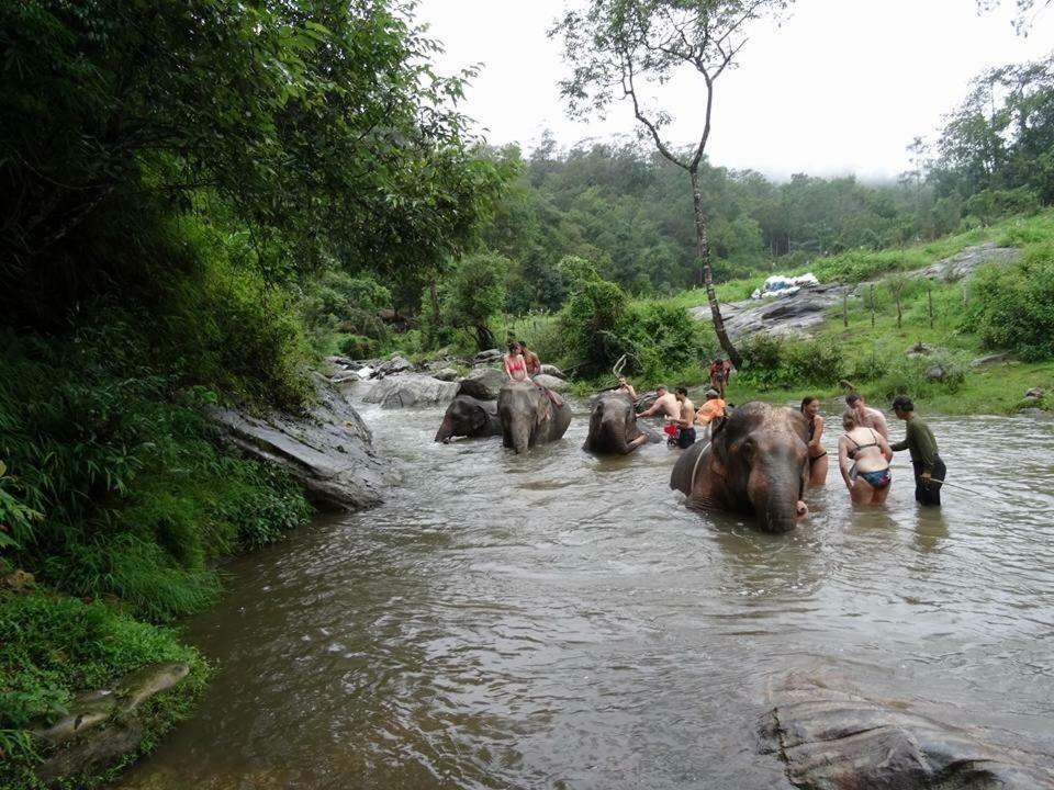 הוסטל צ'יאנג מאי Keta' Jungle Trek House מראה חיצוני תמונה